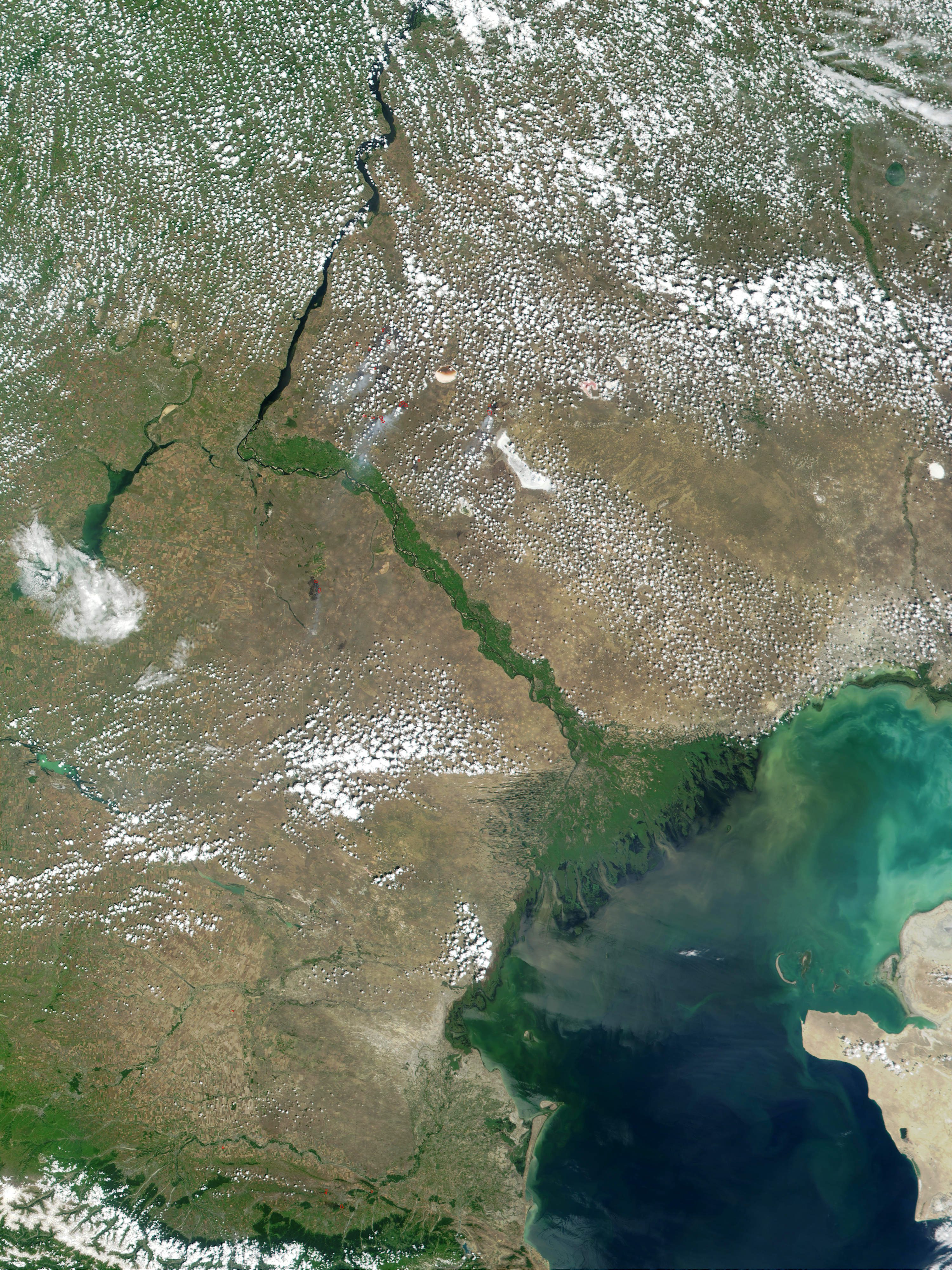 Космический снимок Дельта реки Волга